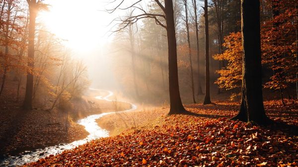 10 activités d'observation de la nature à découvrir en print
